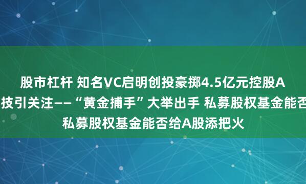 股市杠杆 知名VC启明创投豪掷4.5亿元控股A股公司天迈科技引关注——“黄金捕手”大举出手 私募股权基金能否给A股添把火
