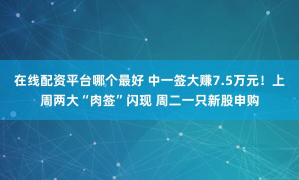在线配资平台哪个最好 中一签大赚7.5万元！上周两大“肉签”闪现 周二一只新股申购
