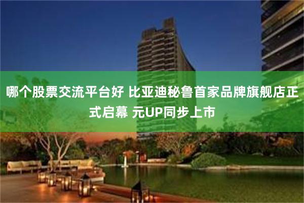 哪个股票交流平台好 比亚迪秘鲁首家品牌旗舰店正式启幕 元UP同步上市