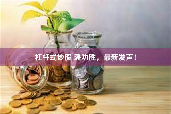 杠杆式炒股 潘功胜，最新发声！