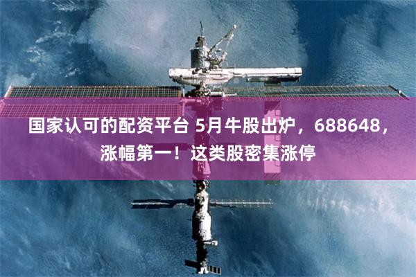 国家认可的配资平台 5月牛股出炉，688648，涨幅第一！这类股密集涨停