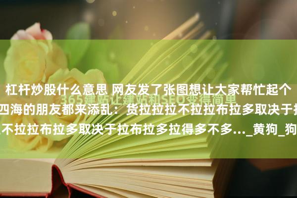 杠杆炒股什么意思 网友发了张图想让大家帮忙起个好听的名字，结果五湖四海的朋友都来添乱：货拉拉拉不拉拉布拉多取决于拉布拉多拉得多不多..._黄狗_狗狗