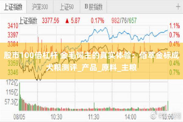 股市100倍杠杆 金毛饲主的真实体验：佰萃金标成犬粮测评_产品_原料_主粮