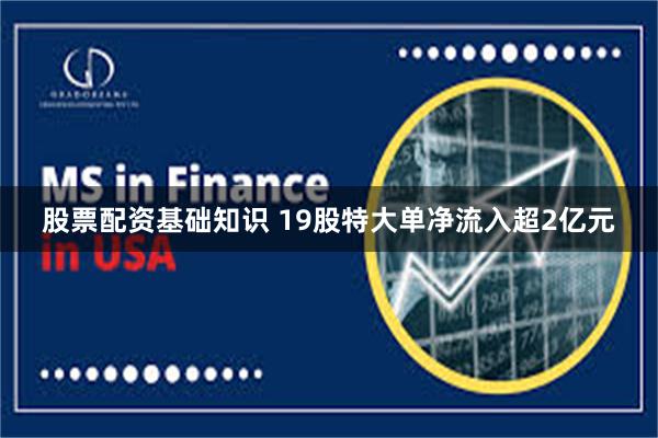 股票配资基础知识 19股特大单净流入超2亿元
