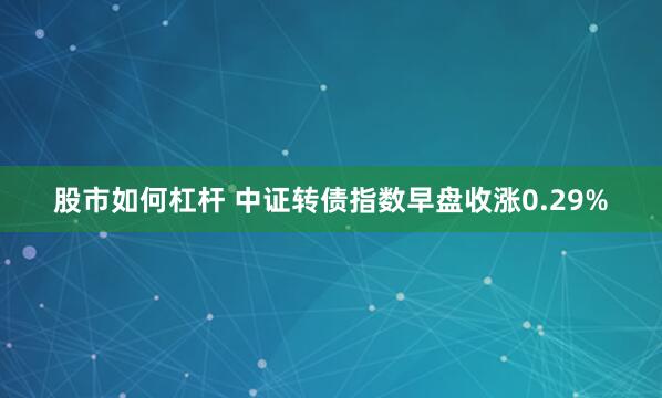 股市如何杠杆 中证转债指数早盘收涨0.29%