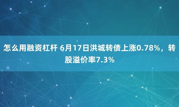 怎么用融资杠杆 6月17日洪城转债上涨0.78%，转股溢价率7.3%