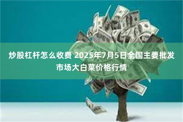 炒股杠杆怎么收费 2025年7月5日全国主要批发市场大白菜价格行情