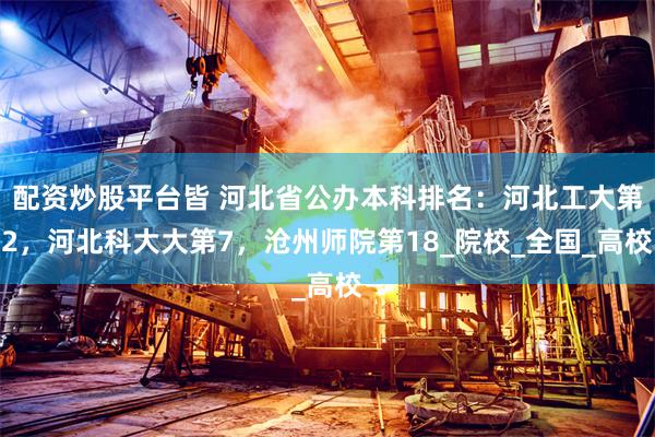 配资炒股平台皆 河北省公办本科排名：河北工大第2，河北科大大第7，沧州师院第18_院校_全国_高校
