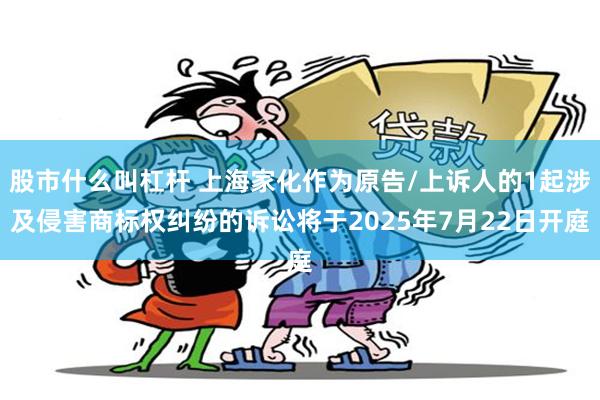 股市什么叫杠杆 上海家化作为原告/上诉人的1起涉及侵害商标权纠纷的诉讼将于2025年7月22日开庭