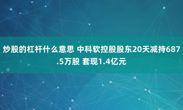 炒股的杠杆什么意思 中科软控股股东20天减持687.5万股 套现1.4亿元