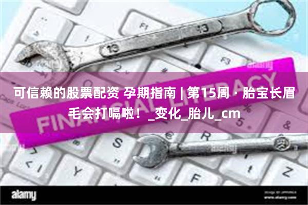 可信赖的股票配资 孕期指南 | 第15周 · 胎宝长眉毛会打嗝啦！_变化_胎儿_cm