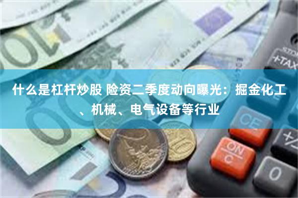 什么是杠杆炒股 险资二季度动向曝光：掘金化工、机械、电气设备等行业